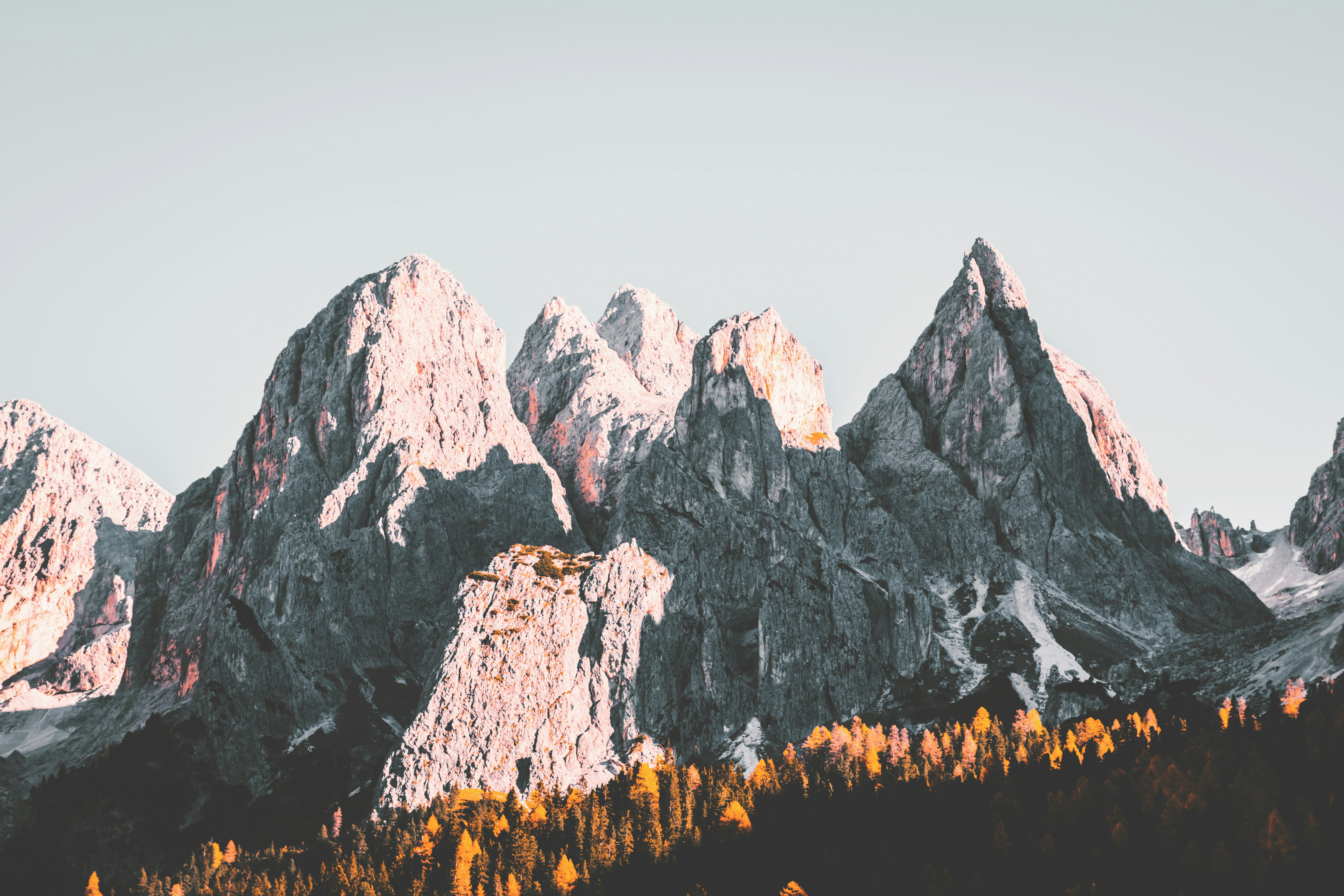 snow capped mountain near forest